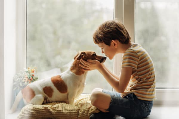 Little boy kisses the dog in nose on the window.