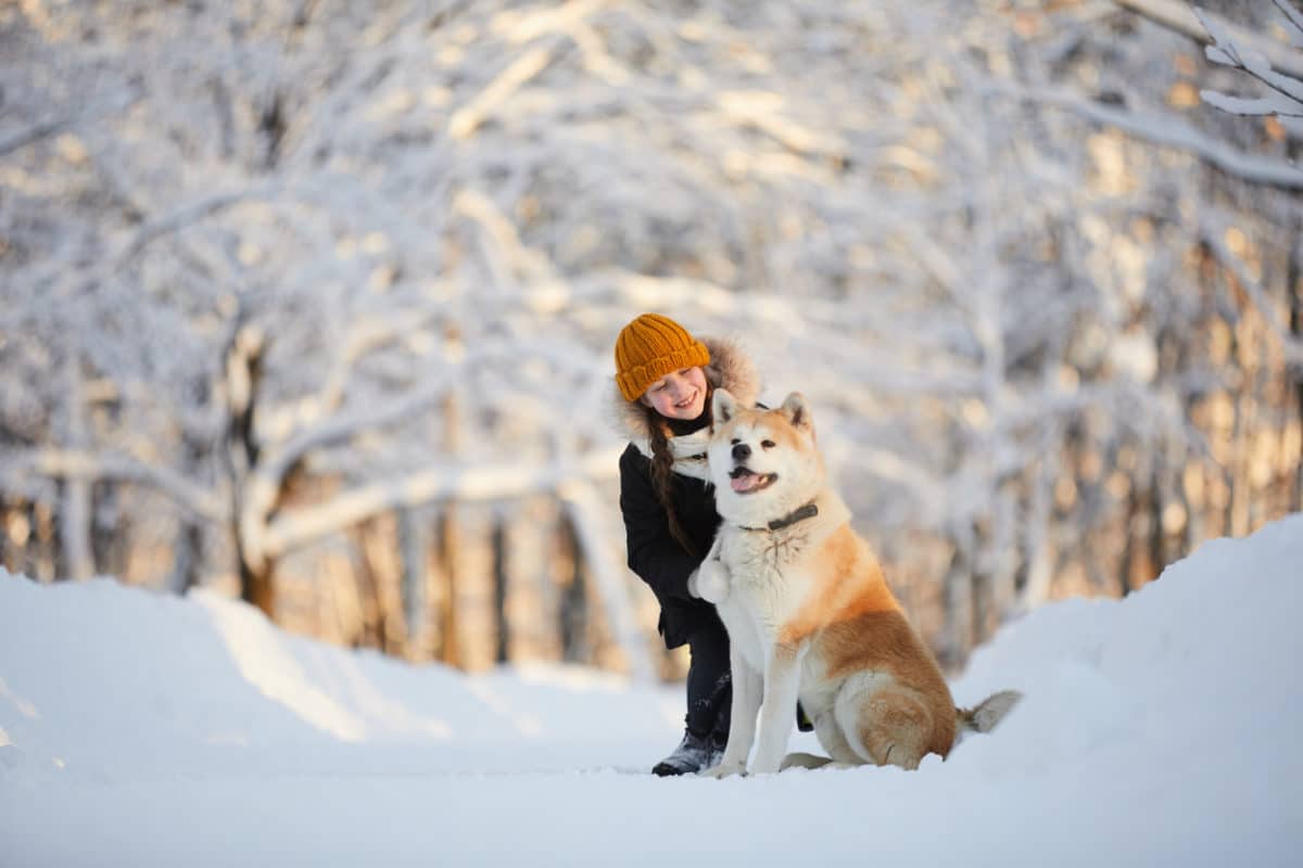 Girl Posing with Akita Dog