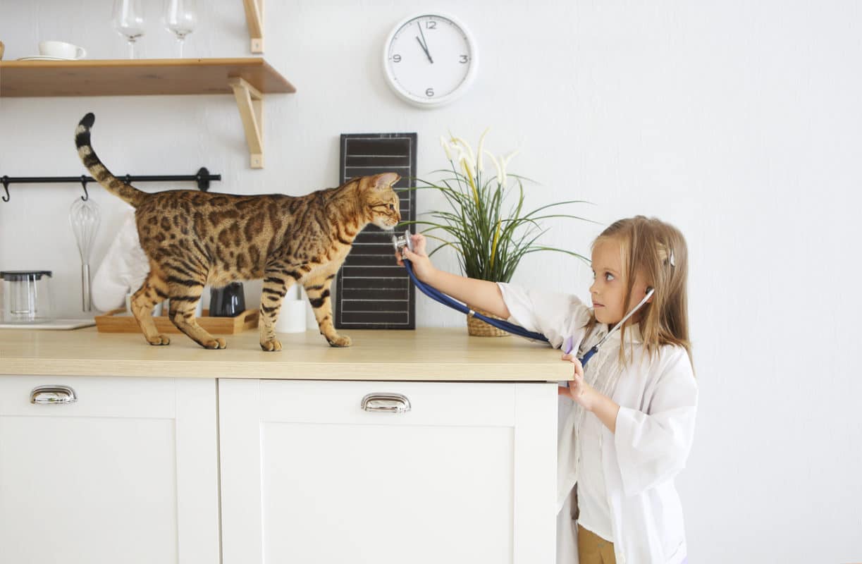 Little girl playing veterinary with her kitten on the kitchen