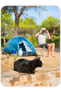 Chat en camping avec ses maitres
