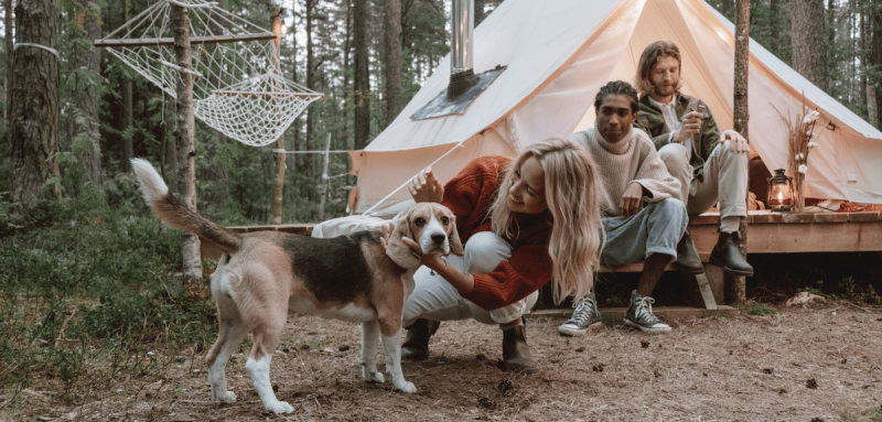 amis en camping en tête avec leur chien