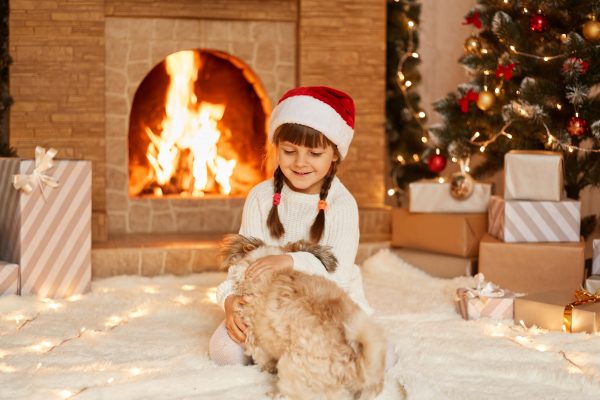 photo d'une jeune fille qui joue avec son petit chien à Noël près du feu de foyer