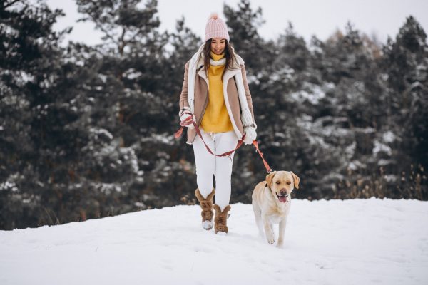 jeune femme marchant avec son chien dans un parc d'hiver