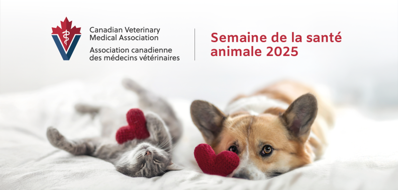 Semaine de la santé animale