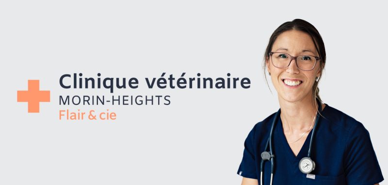 Clinique vétérinaire Morin-Heights
