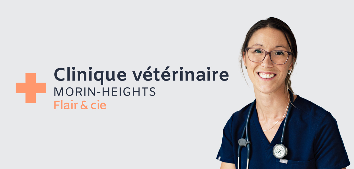 Clinique vétérinaire Morin-Heights