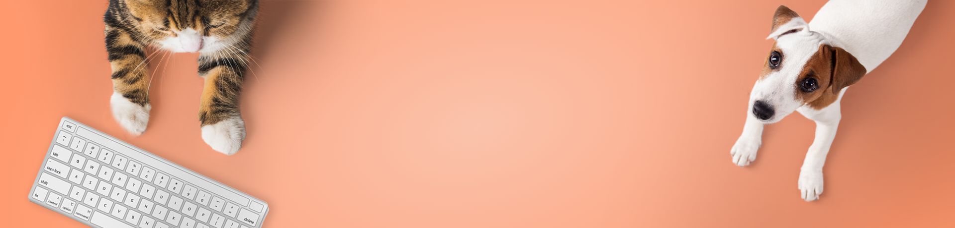 bandeau-boutique-en-ligne-orange