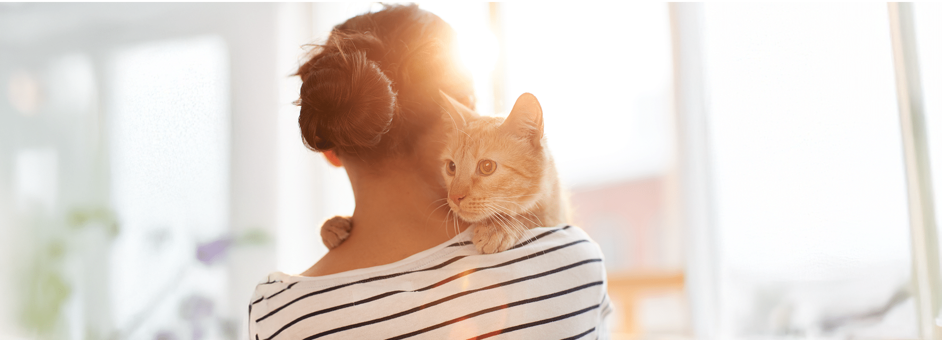 Hôpital Vétérinaire de Montréal